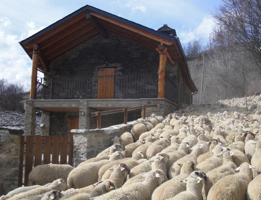La Cabanya De Cal Forn De Serrat Queralbs Exterior foto